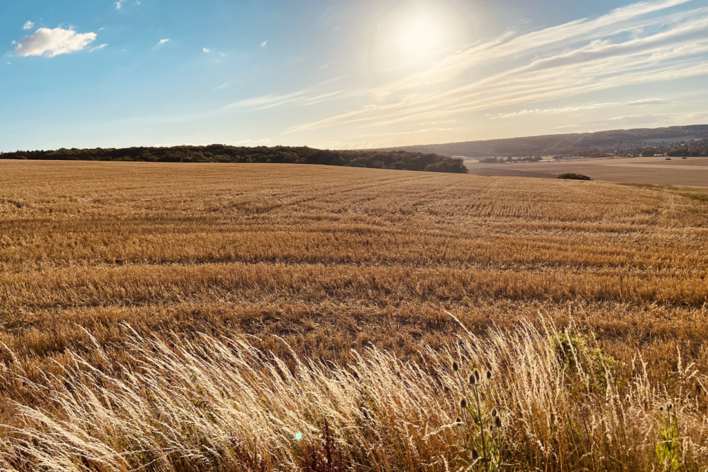 sophie-et-caner Atout Coeur Wedding Paris